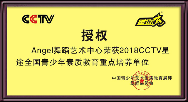 授权证书